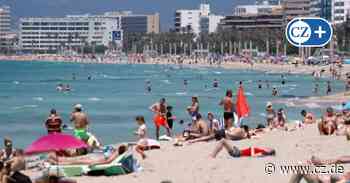 Reisebüros in Celle: Urlaub wird in diesem Jahr teurer - Cellesche Zeitung