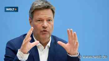 Nur noch Erneuerbare schon 2035? Habecks Ökostrom-Finte geht schief