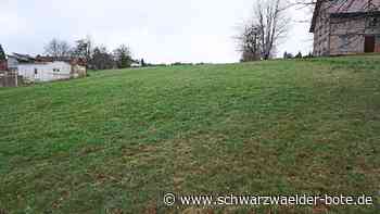 Baugebiet in Schömberg: Doch noch Lösung für Landwirtsfamilie?