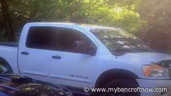 Pickup stolen from driveway in Dysart et al