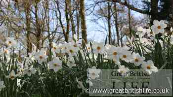 What's on during spring at Dunham Massey - Great British Life
