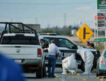 Cinco ejecutados más en Fresnillo – unomásuno - UnomásUno