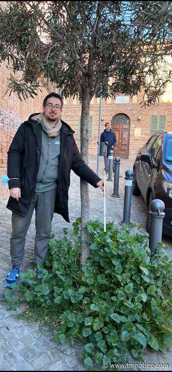 San Benedetto, Stefano Muzi (Forza Italia): "Incuria al Paese Alto, erba alta 70 centimetri - TM notizie