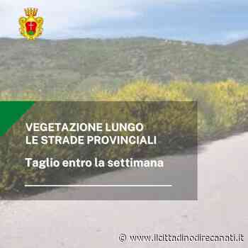 Il comune sollecita taglio erba sulle provinciali del territorio potentino - Il Cittadino di Recanati