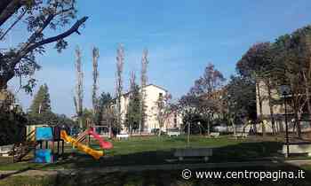 Ancona, avviati gli sfalci dell’erba nelle aree verdi. Presto nuovi giochi nei parchi - Centropagina