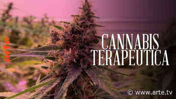 Cannabis terapeutica: l'erba della discordia - Guarda il documentario completo | ARTE - Arte