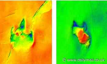 Dinosaur tracks in Spain were left by a theropod with an injured foot 129 million years ago