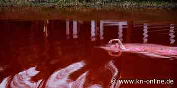 Teich nahe russischer Botschaft blutrot gefärbt: Aktivisten setzen in Litauen ein Zeichen