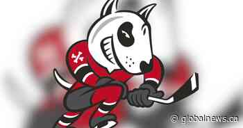 Niagara OHL owners suspended, fined for inappropriate language in online group chat