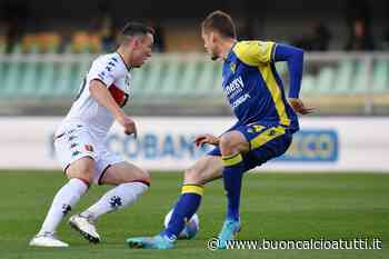 Genoa, Hefti: “Bisogna guardare avanti e non mollare” - Buon Calcio a Tutti