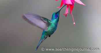 Google’s Hummingbird Update: How It Changed Search via @sejournal, @martinibuster