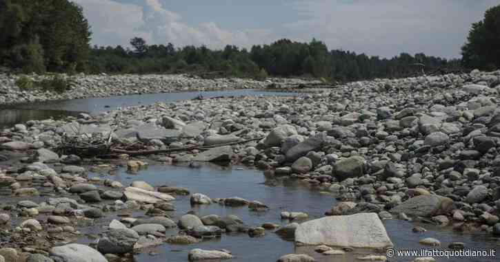 L’emergenza siccità nel bacino del Po. Il Wwf: “Passa da una crisi idrica all’altra, da prolungate siccità a eventi alluvionali violenti”