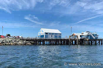 Sidney renews leases for Beacon Wharf businesses while raising their rates – Victoria News - Victoria News