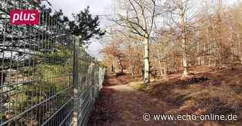 Raunheim: Naturschutz contra Unternehmensinteressen - Echo Online