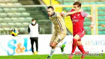 Ancona, verso la trasferta di Siena: oltre Moretti out Palesi e Faggioli - AnconaToday