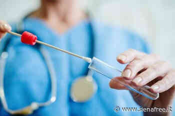 Coronavirus in provincia di Siena: 353 nuovi casi, -58 positivi, 59 (-2) ricoverati, 1 deceduto - SienaFree.it