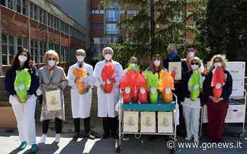 AIL Siena Grosseto, donate 150 uova ai pazienti dell’Aou Senese - gonews
