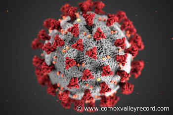 BC to end daily COVID case counts, shift to weekly reporting – Comox Valley Record - Comox Valley Record