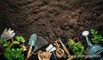 5 Tools Every New Gardener Should Have — RISMedia - RisMedia.com