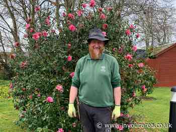 Tregony head gardener wins 13 prizes at RHS Early Spring Flower Show in Devon - In Your Area