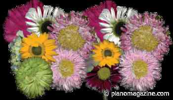 Advice from master gardener on what to expect for spring in Plano - Plano Magazine