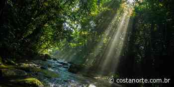 Exclusivo: Trilha do Guaratuba é aberta gratuitamente para moradores de Bertioga - Costa Norte