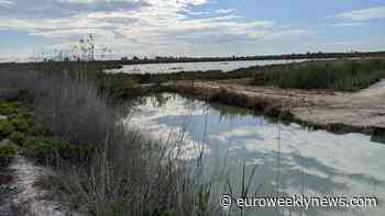 Good result for the two Steves at the latest Carp-R-Us Winter-Spring match in El Bosquet - Euro Weekly News