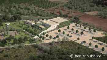 Bari, progetto per un ospedale veterinario privato con un parco. Ma si scontra con la burocrazia: "Aiutateci a sbloccarlo" - La Repubblica