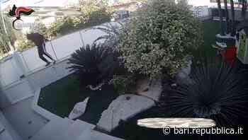 Bari, furti in appartamento e ricettazione: cinque arresti. Uno di loro è il 23enne ferito gravemene in aggua… - La Repubblica