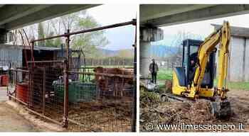 Sora, le stalle abusive dei De Silvio demolite dopo 40 anni - ilmessaggero.it