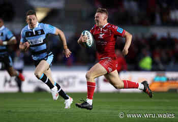Costelow commits future to Scarlets - Welsh Rugby Union