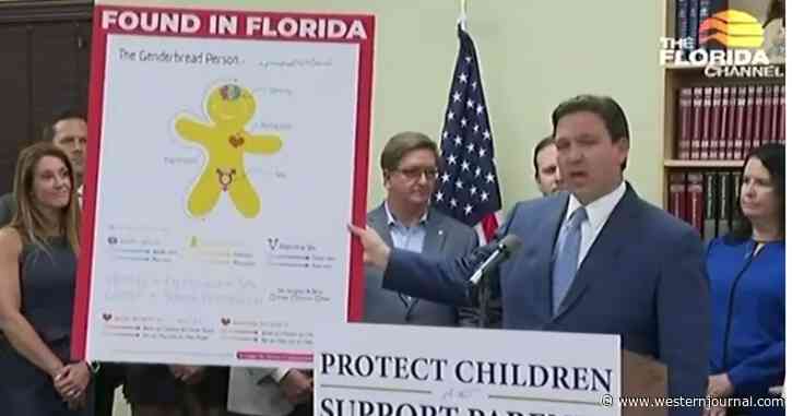 Polls Show Majority of Dem Voters Siding with DeSantis on 'Don't Say Gay' Bill