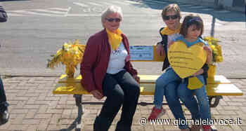 SALUGGIA.Una panchina gialla per sensibilizzare sull'endometriosi - Giornale La Voce - Giornale La Voce