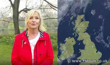 BBC Breakfast star Carol Kirkwood's weather report derailed by rogue gardener – and Dan Walker isn't happy... - The Sun