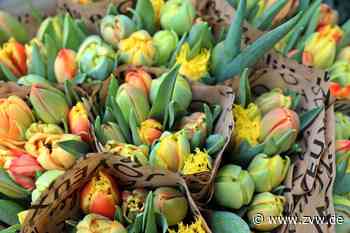 Aktion "Frühja!": Als Dankeschön verteilen Geschäfte in Kernen Blumen-Gutscheine - Kernen - Zeitungsverlag Waiblingen