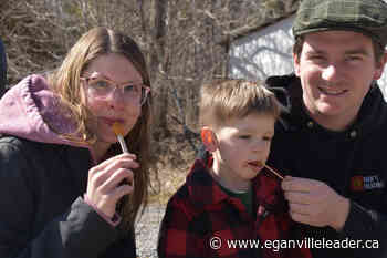 Maple Weekend attracts large crowd to Mapleside Sugar Bush - The Eganville Leader
