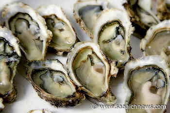 US FDA reports 91 cases of norovirus linked to BC oysters – Saanich News - Saanich News