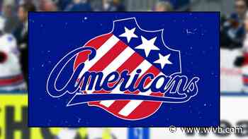 Rochester Americans player suspended 8 games for using homophobic language