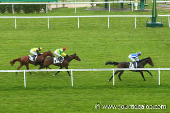 Prix Tourbillon (Classe 1) Sabio Cen s'envole vers le Prix de Suresnes - Jour de Galop