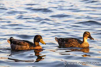 Missed Connection - AM Physical Therapy at CAO on 18th St. NW - PoPville