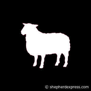 Department of Physical Therapy Massage-A-Thon | Milwaukee Events - Shepherd Express