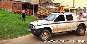 Prefeitura de Itaperuna recolhe animais de grande porte soltos na rua - Serra News