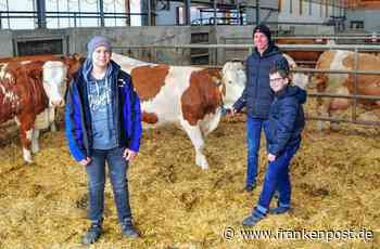 Ein Bauernhof als Familienbetrieb:: Die Tiere stehen an erster Stelle - Frankenpost - Frankenpost