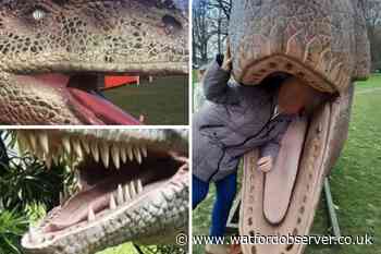 Customers upset at Jurassic Encounter Cassiobury Park