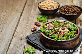 The Paradoxical Anti-Nutrients in Our Produce