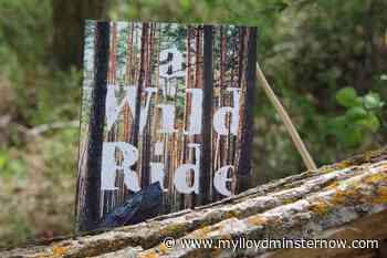 Wainwright writer publishes pre-teen novel - My Lloydminster Now