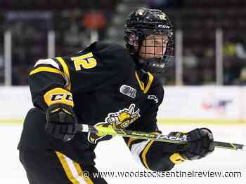 Wainwright's work pays off with Sting - Woodstock Sentinel Review