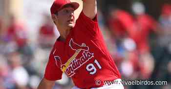 A Petition to Put Andre Pallante on the Wainwright Plan - Viva El Birdos