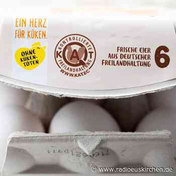 Für Ostereier ohne Kükentöten auf Aufdruck achten - radioeuskirchen.de