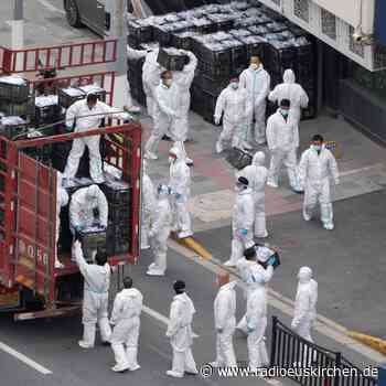 Shanghai als «Geisterstadt» - Unsicherheit für Kinder - radioeuskirchen.de